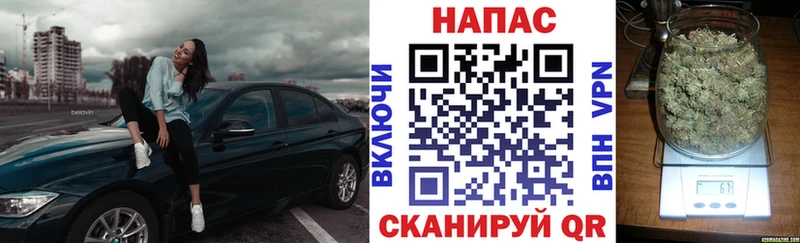 блэк спрут ТОР  Курчатов  Бошки Шишки OG Kush 